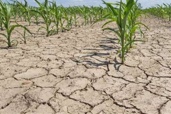 Каким районам страны грозит экстремальная засуха