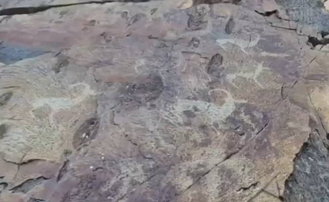 В Восточном Казахстане обнаружены петроглифы и курганы сакских времен