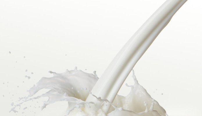 Почему дорожает «молочка», объяснили в Молочном Союзе Казахстана