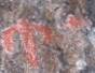 Учителям истории показали петроглифы в горах Кокентау