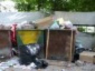 Переполненные мусорные контейнеры возмущают семейчан