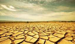 «Климатический ад» в 2050 году прогнозируют метеорологи ООН