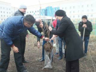 Активисты Семея провели акцию по посадке деревьев