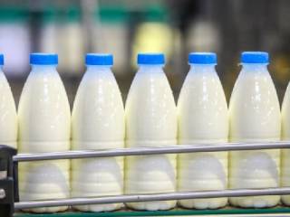 В Семее ежедневно производят по 15 тонн молока