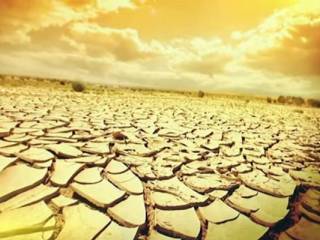Двум регионам Казахстана грозит засуха