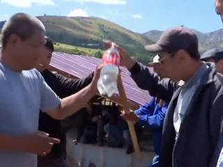 Жители Туркестанской области вынуждены пить воду с червями