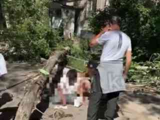 Упавшее дерево сломало позвоночник жительнице Караганды