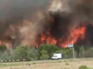 В Караганде горят сразу несколько лесопосадок