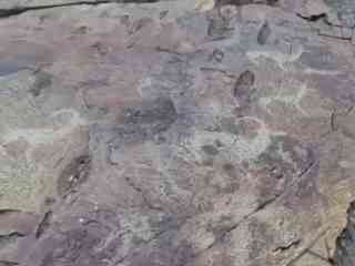 В Восточном Казахстане обнаружены петроглифы и курганы сакских времен