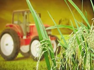 Ввести запрет на импорт зерна предлагают в Зерновом союзе Казахстана
