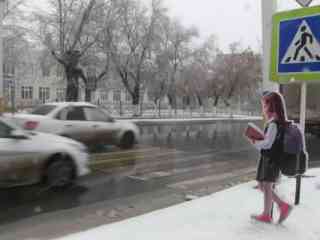 Бесполезные и пугающие! Водители раскритиковали картонные макеты возле переходов