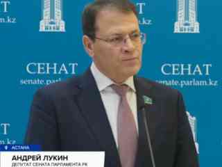 Семь лет без права УДО: наказание за призывы к беспорядкам могут ужесточить