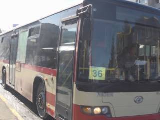 60 новых автобусов закупят в Семее
