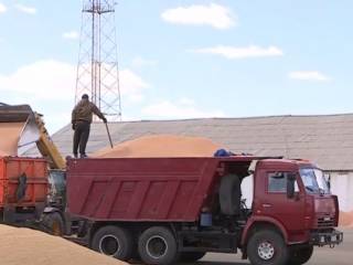 25 тонн пшеницы пытались украсть в Акмолинской области
