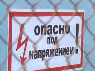 Виноваты птицы: коммунальщики обвинили пернатых в отключениях света