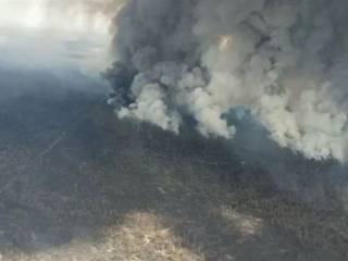 Дело о масштабном лесном пожаре в резервате «Семей орманы» поступило в суд