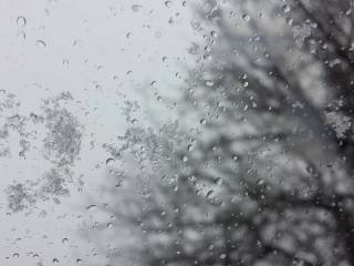 Мокрый снег и дождь прогнозируют синоптики на большей части Казахстана