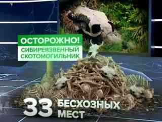 Осторожно, сибирская язва! В Алматинской области опасное захоронение соседствует с детским садом