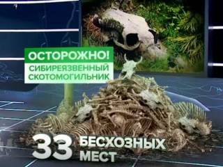 Осторожно, сибирская язва! В Алматинской области опасное захоронение соседствует с детским садом