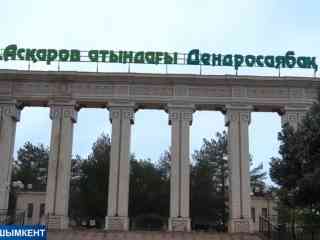 Около восьми тысяч деревьев погибли в дендропарке Шымкента