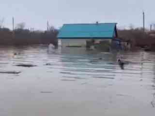Сибирская язва в воде: реальна ли угроза?