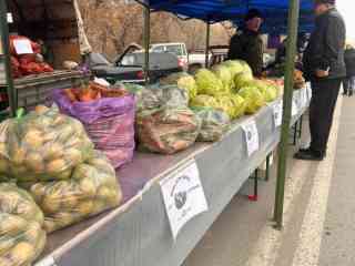 Осенняя ярмарка сельскохозяйственной продукции прошла в Семее