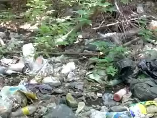 Мусором завалили улицу в Семее