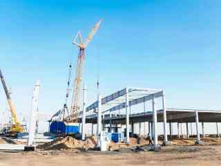 В области активно ведется строительство крупного мясокомбината