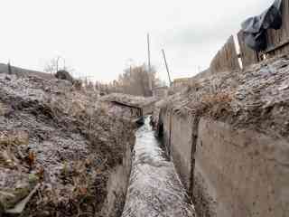 В Семее продолжаются работы по очистке арычной системы