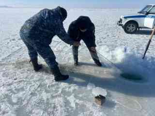 В области проведены рейды против браконьеров