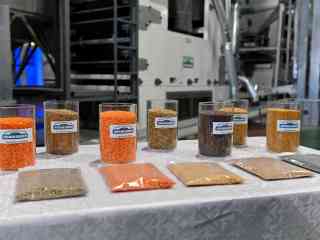 Завод по переработке бобовых и масличных культур открылся в Семее