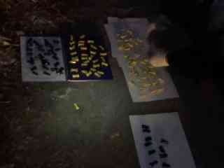 В Семее задержали иностранца, подозреваемого в хранении и фасовке наркотиков