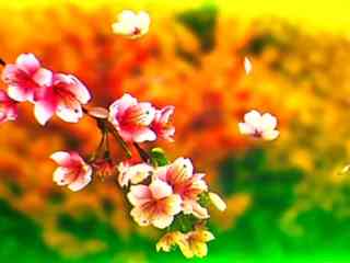 Первый месяц весны обещает быть теплым