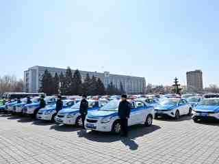 Полицейские области получили 137 служебных автомобилей