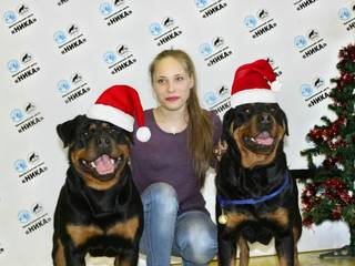 Городская выставка собак «Рождественские встречи в Семее»