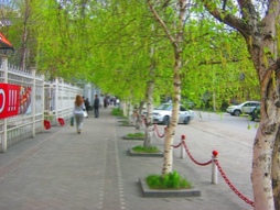 Улицу Ленина переименуют?