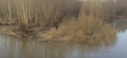 Видео: парня, сброшенного друзьями с моста, спасли в ВКО