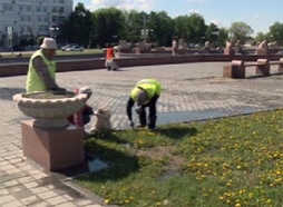 В Семее на летний период трудоустроены более 200 человек
