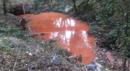 В красный цвет окрасилась вода в алматинской речке