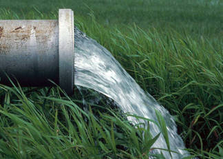 В Семее предлагают использовать для полива сточные воды городской канализации