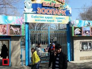В Караганды директор зоопарка требует наказать волонтера за комментарий в соцсетях