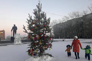 Ель оправдывает средства