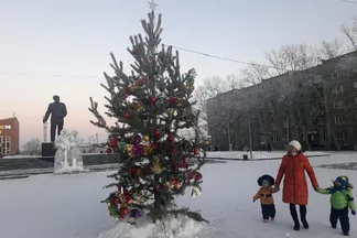 Ель оправдывает средства