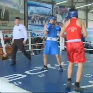 В Семее проходит областной чемпионат по боксу среди молодежи