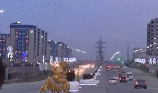 В Шымкенте появится еще одна улица имени Президента