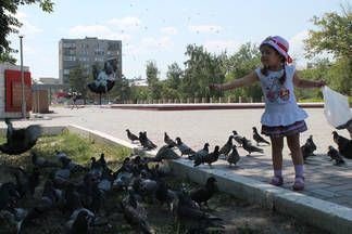 Чиновники Семея запретили горожанам кормить голубей в Парке Победы