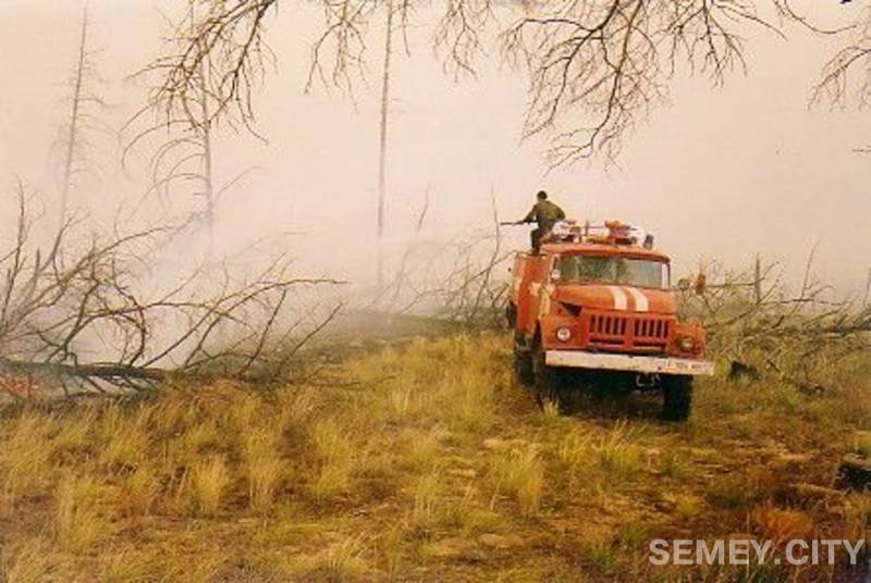 Тушение лесного пожара в Семипалатинске (г. Семей)