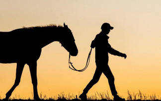 Похитившего более 120 лошадей конокрада задержали в Алматинской области