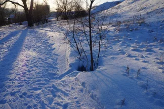 Бездонная пасть