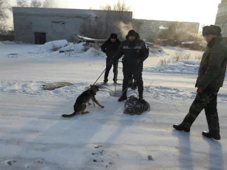 Упавшую в колодец собаку спасли в Семее